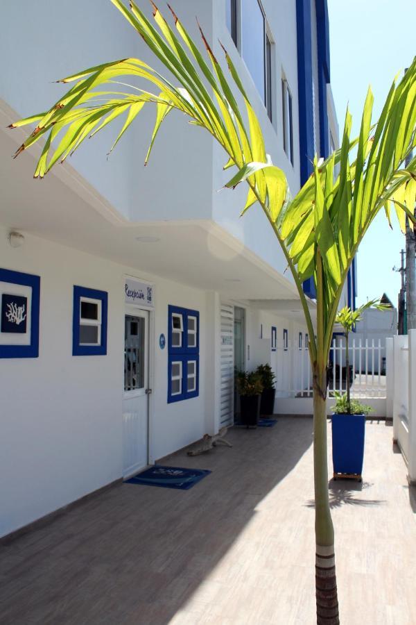White Coral Apartasuites San Andrés Extérieur photo